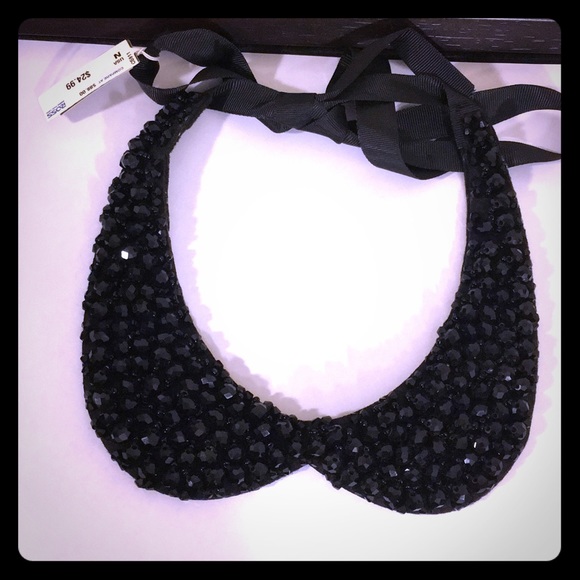 Accessories - Black decorative collar .